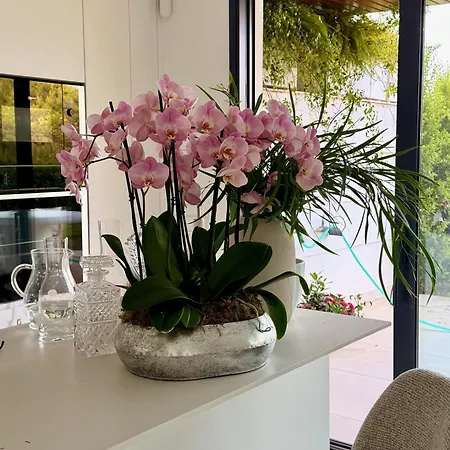 Garden Dream فوينخيرولا